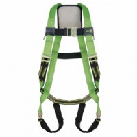 Python Harness